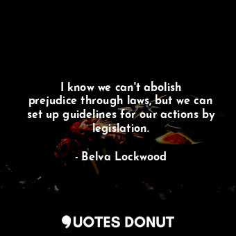  I know we can&#39;t abolish prejudice through laws, but we can set up guidelines... - Belva Lockwood - Quotes Donut