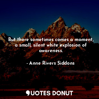  But there sometimes comes a moment, a small, silent white explosion of awareness... - Anne Rivers Siddons - Quotes Donut