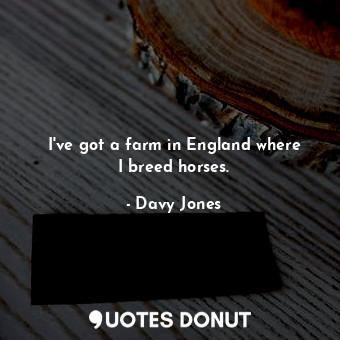  I&#39;ve got a farm in England where I breed horses.... - Davy Jones - Quotes Donut