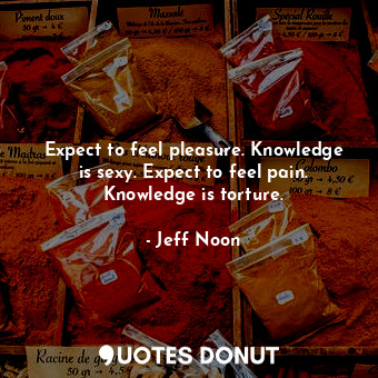  Expect to feel pleasure. Knowledge is sexy. Expect to feel pain. Knowledge is to... - Jeff Noon - Quotes Donut