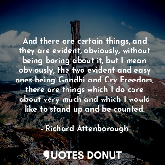 And there are certain things, and they are evident, obviously, without being boring about it, but I mean obviously, the two evident and easy ones being Gandhi and Cry Freedom, there are things which I do care about very much and which I would like to stand up and be counted.
