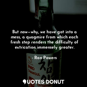  But now—why, we have got into a mess, a quagmire from which each fresh step rend... - Ron Powers - Quotes Donut