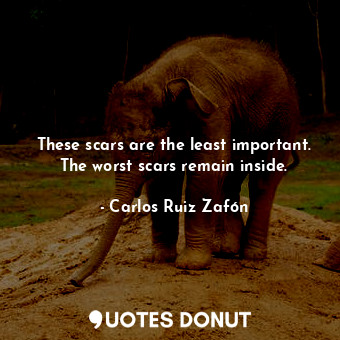 These scars are the least important. The worst scars remain inside.