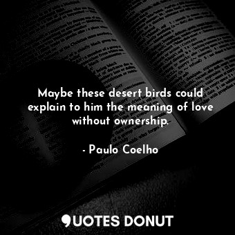 Maybe these desert birds could explain to him the meaning of love without ownership.