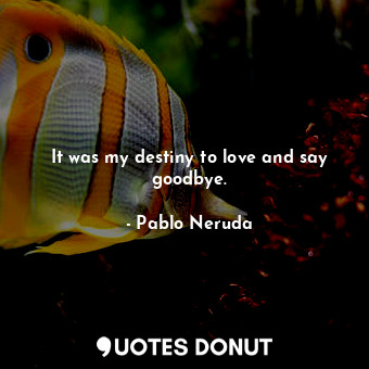  It was my destiny to love and say goodbye.... - Pablo Neruda - Quotes Donut