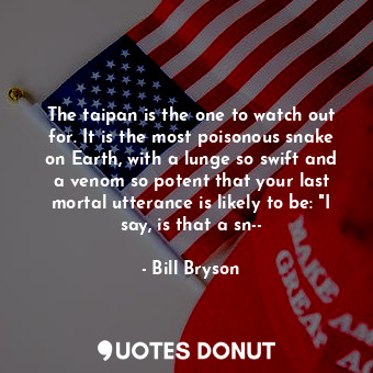 The taipan is the one to watch out for. It is the most poisonous snake on Earth, with a lunge so swift and a venom so potent that your last mortal utterance is likely to be: "I say, is that a sn--