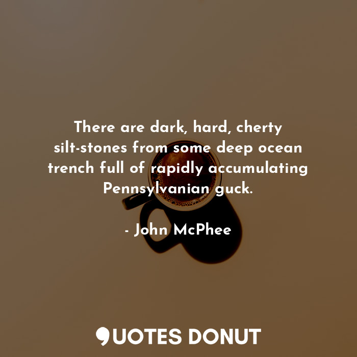  There are dark, hard, cherty silt-stones from some deep ocean trench full of rap... - John McPhee - Quotes Donut