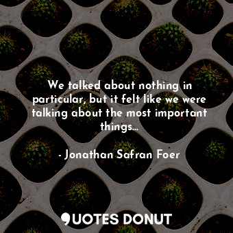  We talked about nothing in particular, but it felt like we were talking about th... - Jonathan Safran Foer - Quotes Donut