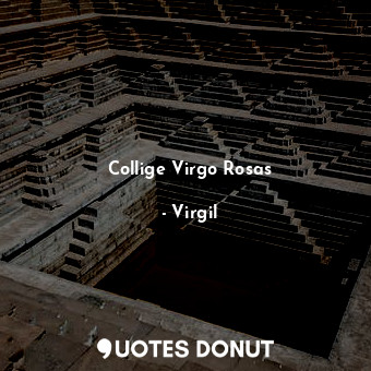  Collige Virgo Rosas... - Virgil - Quotes Donut
