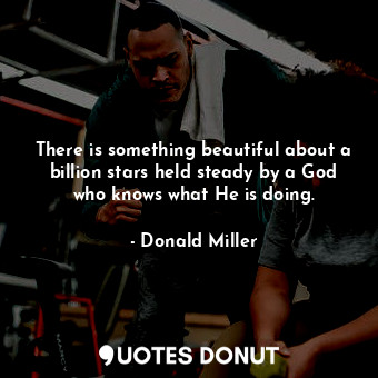  There is something beautiful about a billion stars held steady by a God who know... - Donald Miller - Quotes Donut