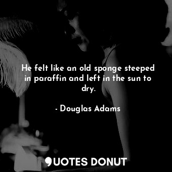  He felt like an old sponge steeped in paraffin and left in the sun to dry.... - Douglas Adams - Quotes Donut