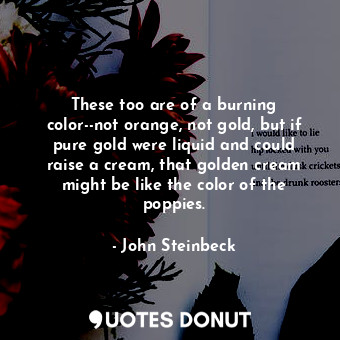  These too are of a burning color--not orange, not gold, but if pure gold were li... - John Steinbeck - Quotes Donut