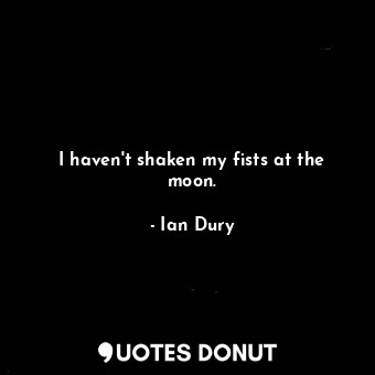  I haven&#39;t shaken my fists at the moon.... - Ian Dury - Quotes Donut
