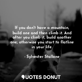 If you don&#39;t have a mountain, build one and then climb it. And after you climb it, build another one; otherwise you start to flatline in your life.