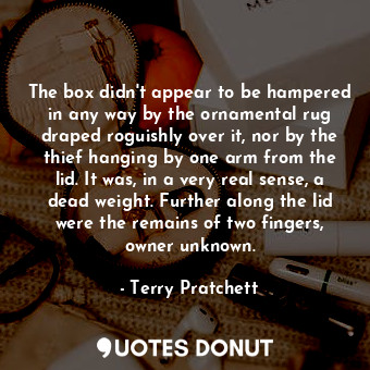  The box didn't appear to be hampered in any way by the ornamental rug draped rog... - Terry Pratchett - Quotes Donut