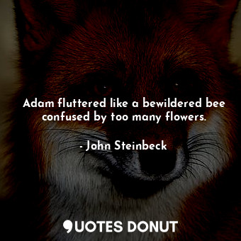 Adam fluttered like a bewildered bee confused by too many flowers.