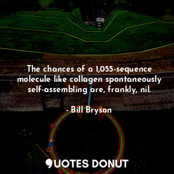  The chances of a 1,055-sequence molecule like collagen spontaneously self-assemb... - Bill Bryson - Quotes Donut