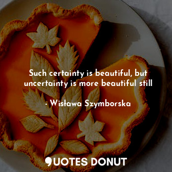 Such certainty is beautiful, but uncertainty is more beautiful still