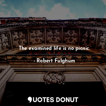  The examined life is no picnic.... - Robert Fulghum - Quotes Donut