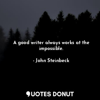 A good writer always works at the impossible.