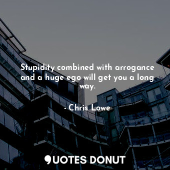  Stupidity combined with arrogance and a huge ego will get you a long way.... - Chris Lowe - Quotes Donut
