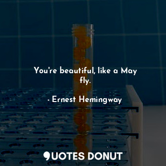 You&#39;re beautiful, like a May fly.