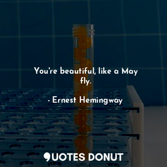  You&#39;re beautiful, like a May fly.... - Ernest Hemingway - Quotes Donut