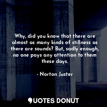  Why, did you know that there are almost as many kinds of stillness as there are ... - Norton Juster - Quotes Donut