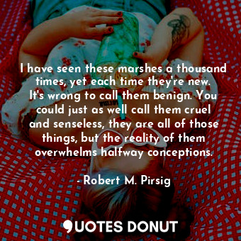  I have seen these marshes a thousand times, yet each time they're new. It's wron... - Robert M. Pirsig - Quotes Donut