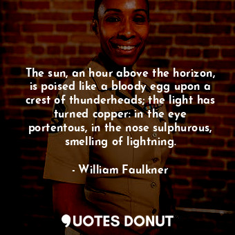 The sun, an hour above the horizon, is poised like a bloody egg upon a crest of thunderheads; the light has turned copper: in the eye portentous, in the nose sulphurous, smelling of lightning.