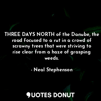  THREE DAYS NORTH of the Danube, the road focused to a rut in a crowd of scrawny ... - Neal Stephenson - Quotes Donut