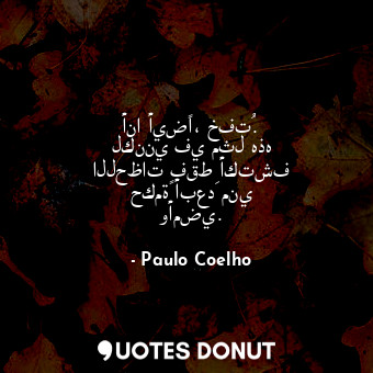  أنا أيضًا، خفتُ. لكنني في مثل هذه اللحظات فقط أكتشف حكمةً أبعدَ مني وأمضي.... - Paulo Coelho - Quotes Donut