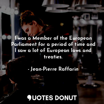  I was a Member of the European Parliament for a period of time and I saw a lot o... - Jean-Pierre Raffarin - Quotes Donut
