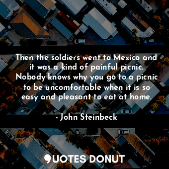 Then the soldiers went to Mexico and it was a kind of painful picnic. Nobody knows why you go to a picnic to be uncomfortable when it is so easy and pleasant to eat at home.