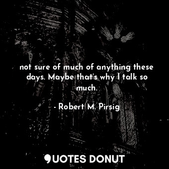  not sure of much of anything these days. Maybe that’s why I talk so much.... - Robert M. Pirsig - Quotes Donut