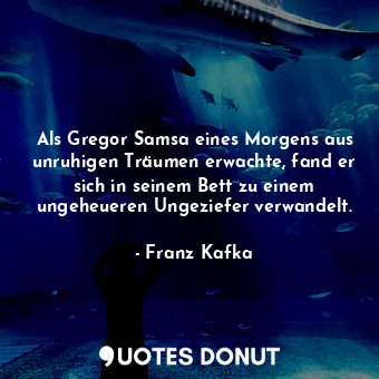 Als Gregor Samsa eines Morgens aus unruhigen Träumen erwachte, fand er sich in seinem Bett zu einem ungeheueren Ungeziefer verwandelt.