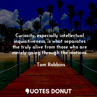  Curiosity, especially intellectual inquisitiveness, is what separates the truly ... - Tom Robbins - Quotes Donut