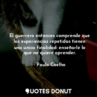  El guerrero entonces comprende que las experiencias repetidas tienen una única f... - Paulo Coelho - Quotes Donut