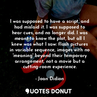  I was supposed to have a script, and had mislaid it. I was supposed to hear cues... - Joan Didion - Quotes Donut