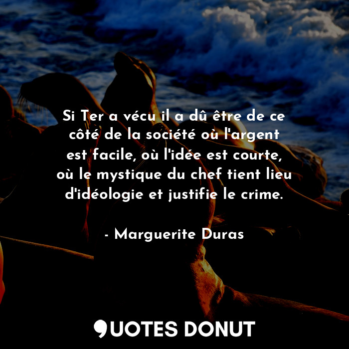 Si Ter a vécu il a dû être de ce côté de la société où l'argent est facile, où l'idée est courte, où le mystique du chef tient lieu d'idéologie et justifie le crime.