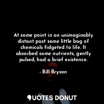 At some point in an unimaginably distant past some little bag of chemicals fidgeted to life. It absorbed some nutrients, gently pulsed, had a brief existence.