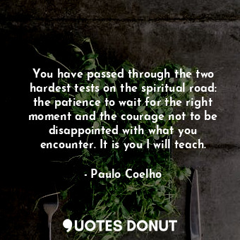 You have passed through the two hardest tests on the spiritual road: the patience to wait for the right moment and the courage not to be disappointed with what you encounter. It is you I will teach.