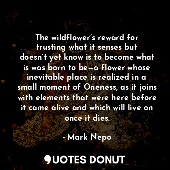  The wildflower’s reward for trusting what it senses but doesn’t yet know is to b... - Mark Nepo - Quotes Donut