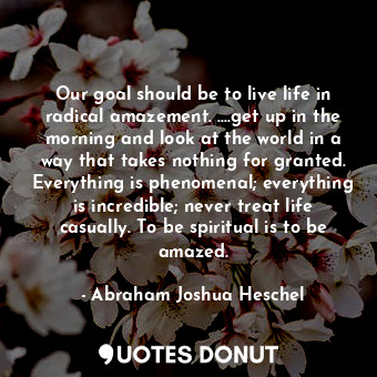 Our goal should be to live life in radical amazement. ....get up in the morning and look at the world in a way that takes nothing for granted. Everything is phenomenal; everything is incredible; never treat life casually. To be spiritual is to be amazed.