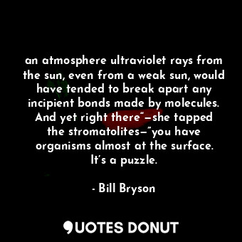 an atmosphere ultraviolet rays from the sun, even from a weak sun, would have tended to break apart any incipient bonds made by molecules. And yet right there“—she tapped the stromatolites—”you have organisms almost at the surface. It’s a puzzle.