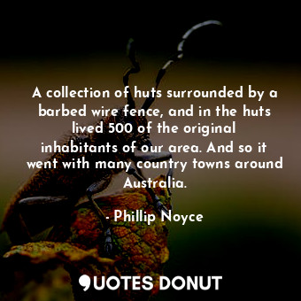  A collection of huts surrounded by a barbed wire fence, and in the huts lived 50... - Phillip Noyce - Quotes Donut