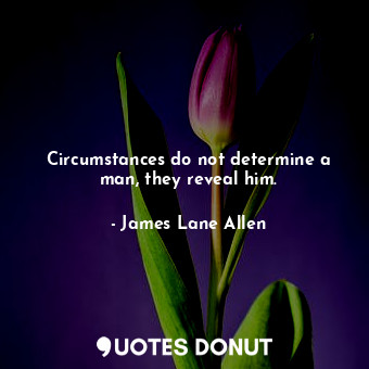 Circumstances do not determine a man, they reveal him.