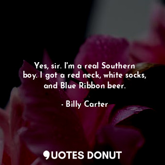  Yes, sir. I&#39;m a real Southern boy. I got a red neck, white socks, and Blue R... - Billy Carter - Quotes Donut