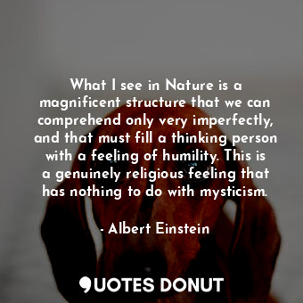  What I see in Nature is a magnificent structure that we can comprehend only very... - Albert Einstein - Quotes Donut