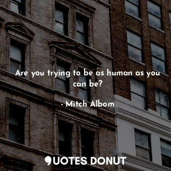 Are you trying to be as human as you can be?